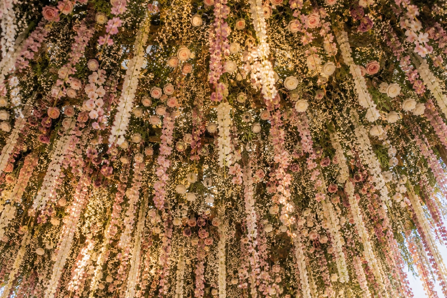 Looking up into the flower canopy