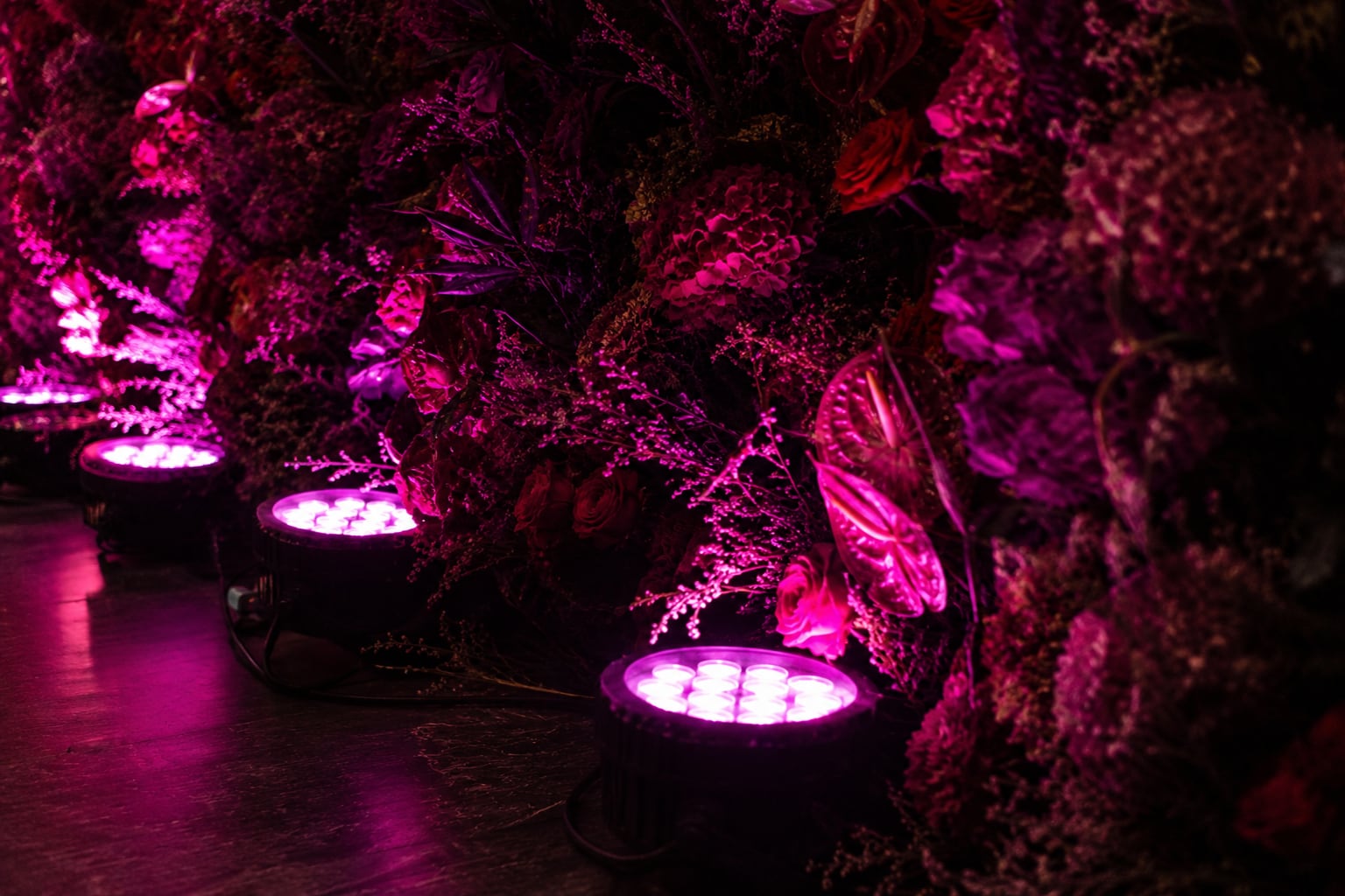 Uplighting through the flower wall