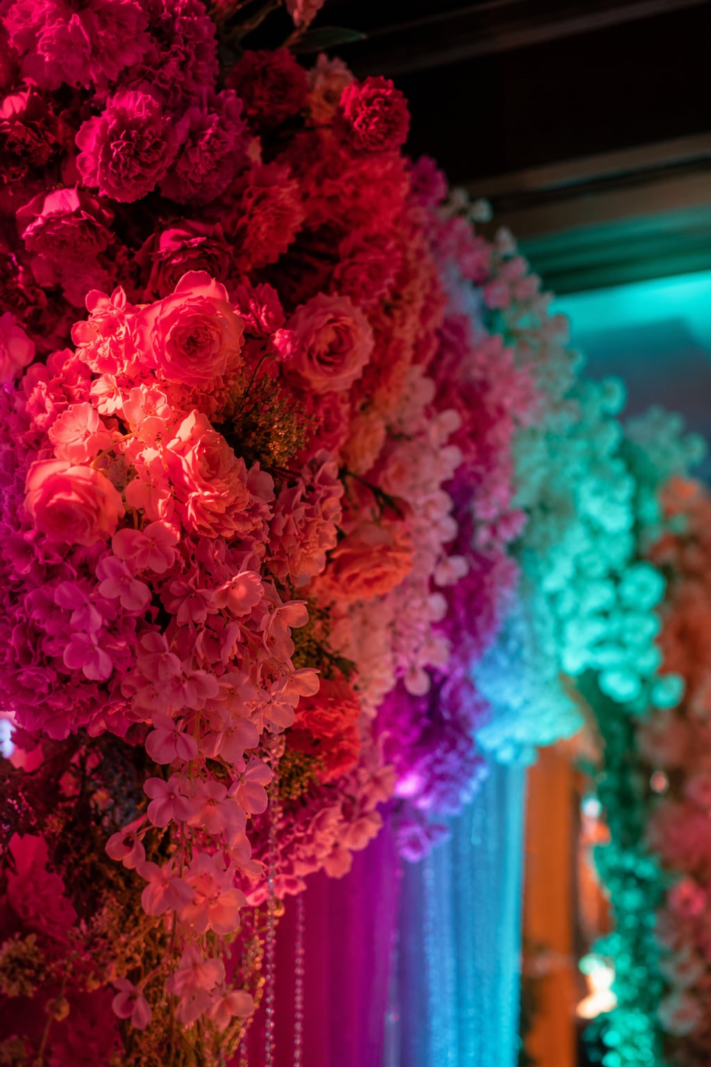 Close detail of floral clusters under pink and teal gel light